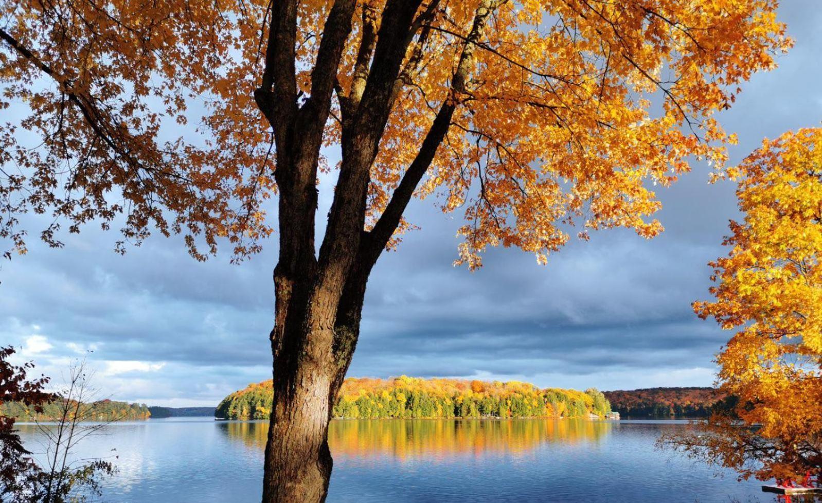 ホテル Muskoka Escape ポート・カーリング エクステリア 写真